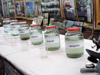 Ganga Jal- Collection and analysis of river Ganga water at different sites of river Ganga to display