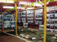 Model presented Gomati River