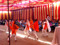 Cultural Programme in the exhibition campus