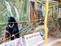 Ganga Exhibition  - Save forest save life