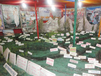 Ganga Exhibition  - Uninterrupted flow of River Ganga and its Tributaries make river free from pollu